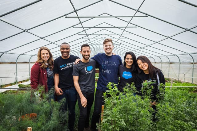 Salesforce culture